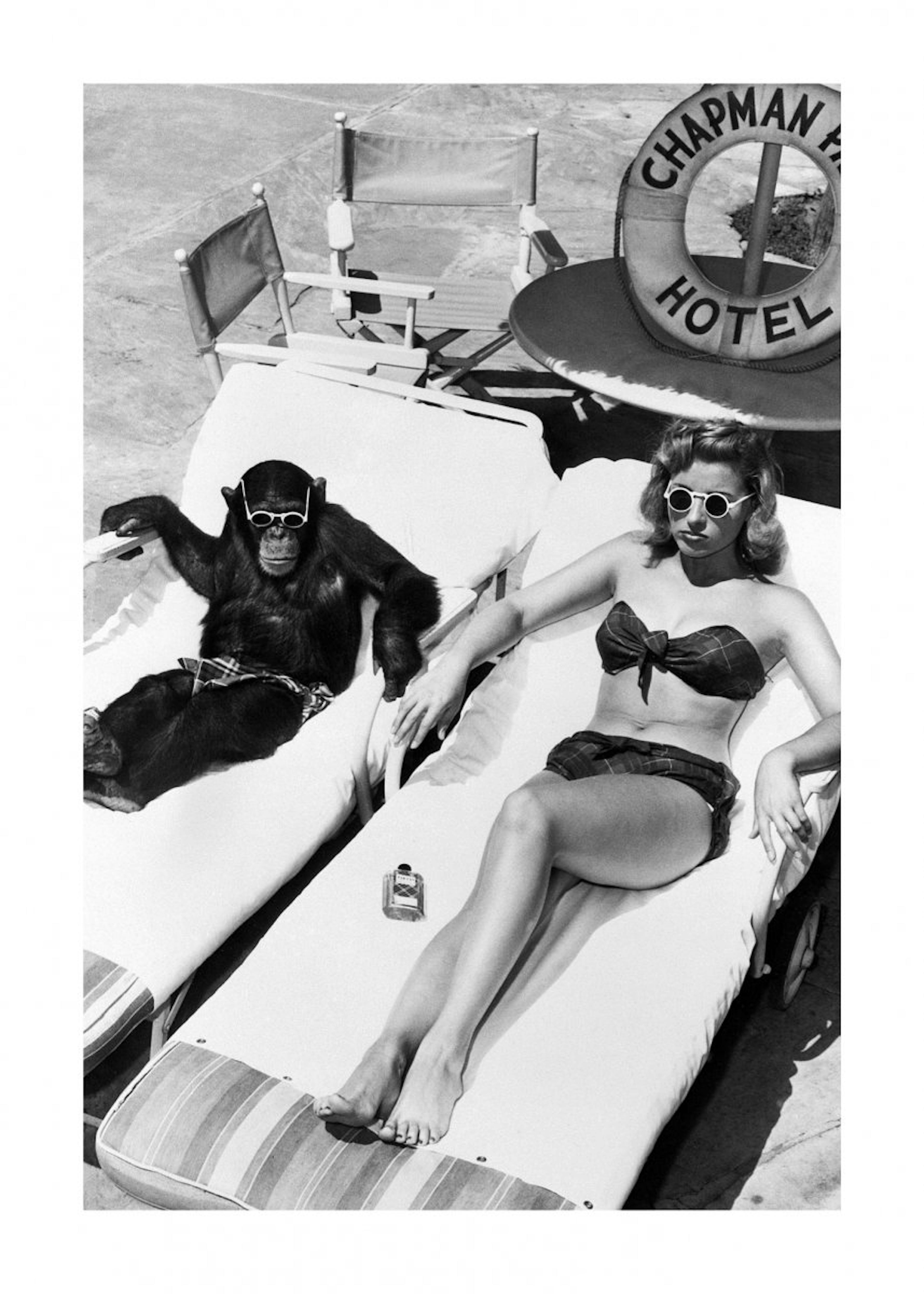 Woman Sunbathing with Chimpanzee Poster 0
