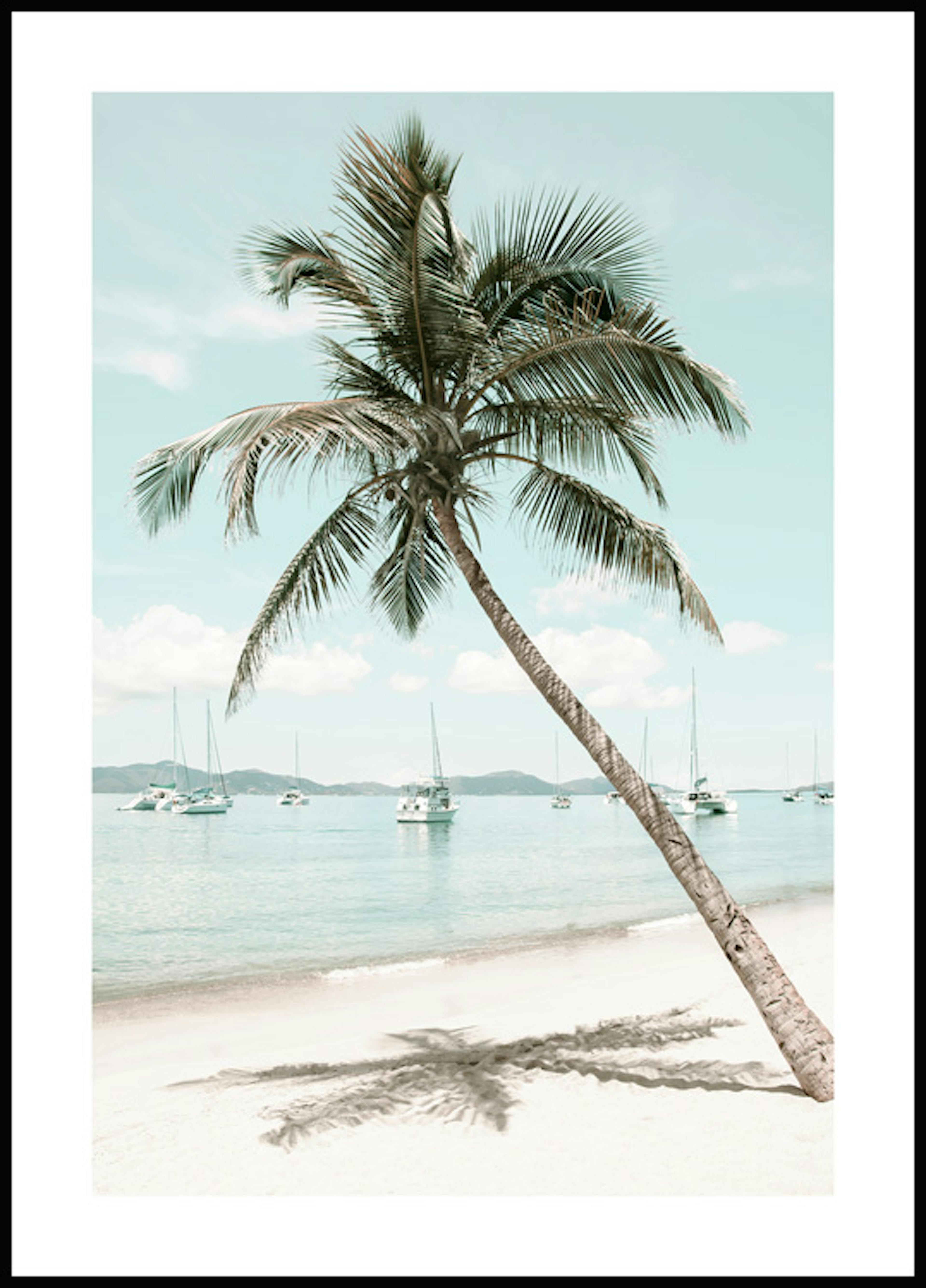 Poster palmier caribbean 0