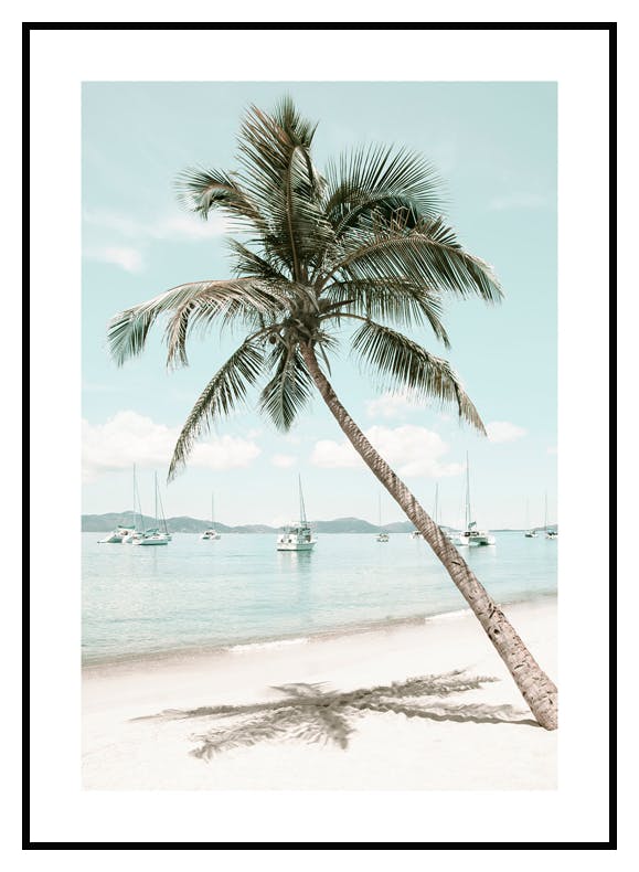 Palm i Karibien Poster (30x40 cm) - Poster Store