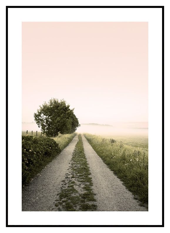 Plakat Zamglona Wiejska Droga (50x70 cm) - Poster Store