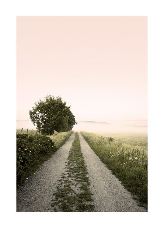 Country Road Mist Poster 0