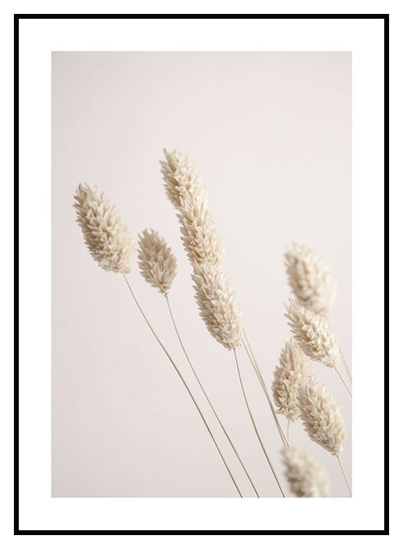 Prints Dried Grass Poster (50x70 cm) - Poster Store