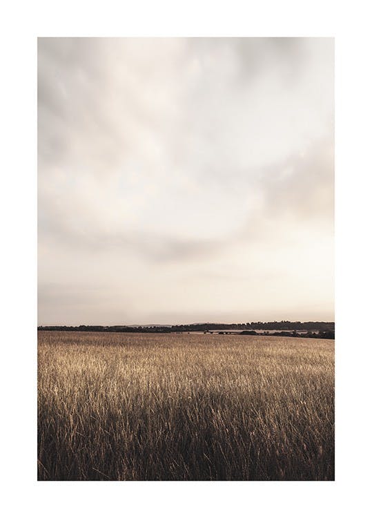 草原と曇り空 ポスター 0