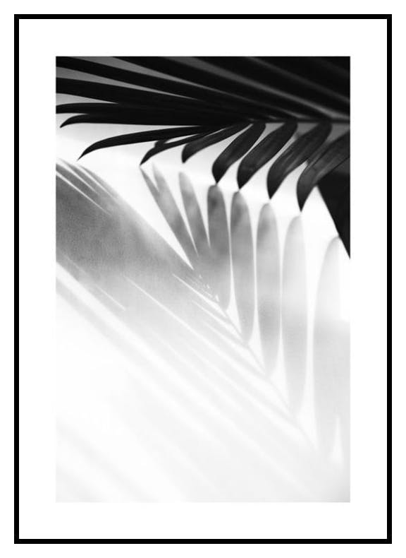 Cień Palmy B&W Plakat (21x30 cm) - Poster Store