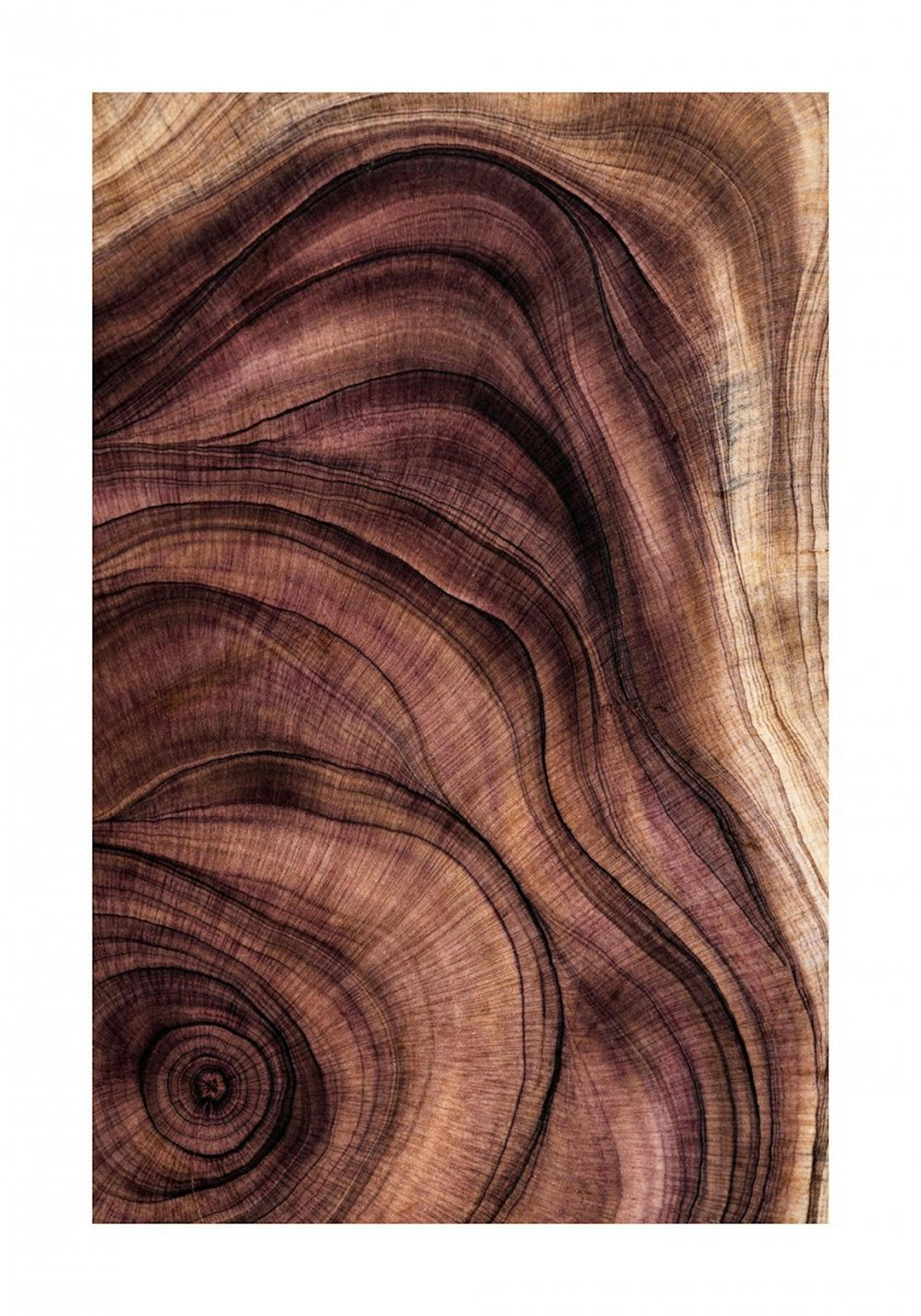Wood pattern Poster 0