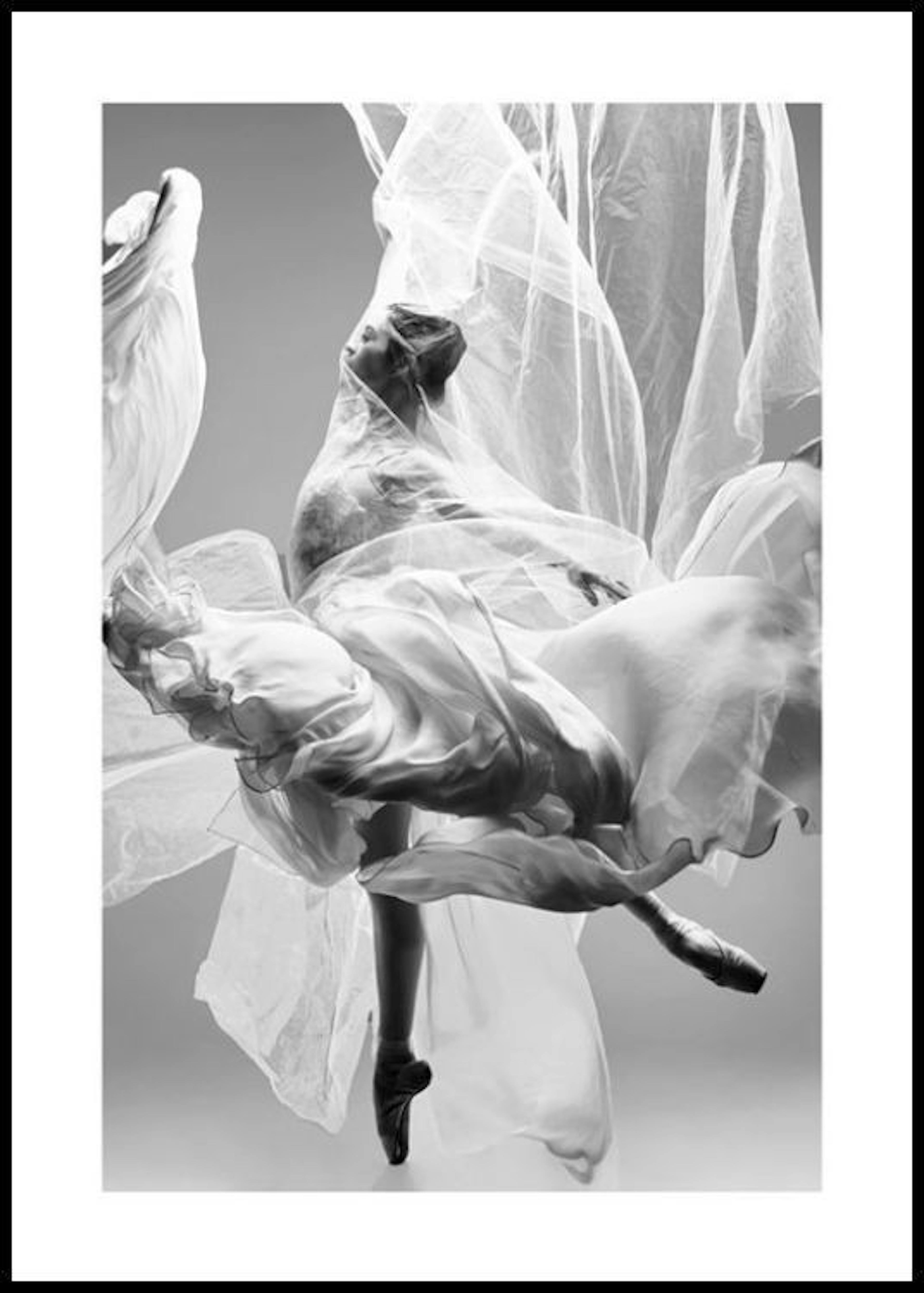 Graceful Ballerina Poster 0