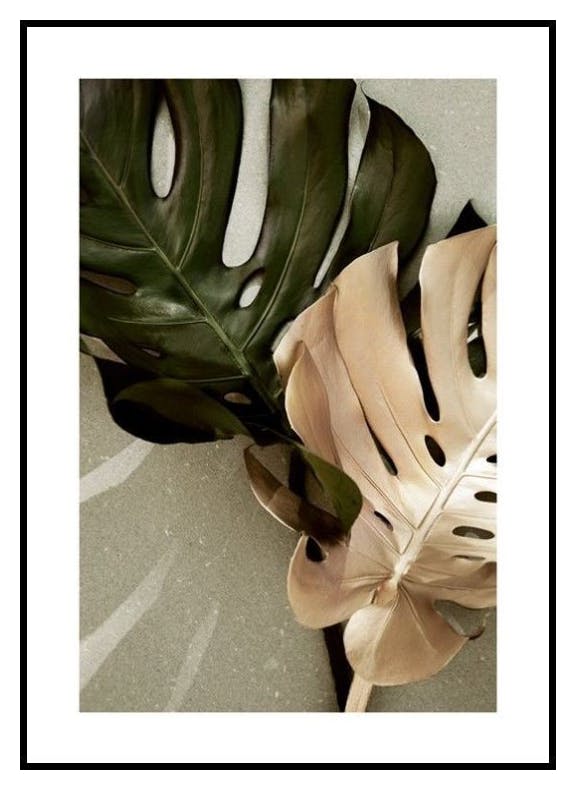 Złota Monstera Plakat (40x50 cm) - Poster Store