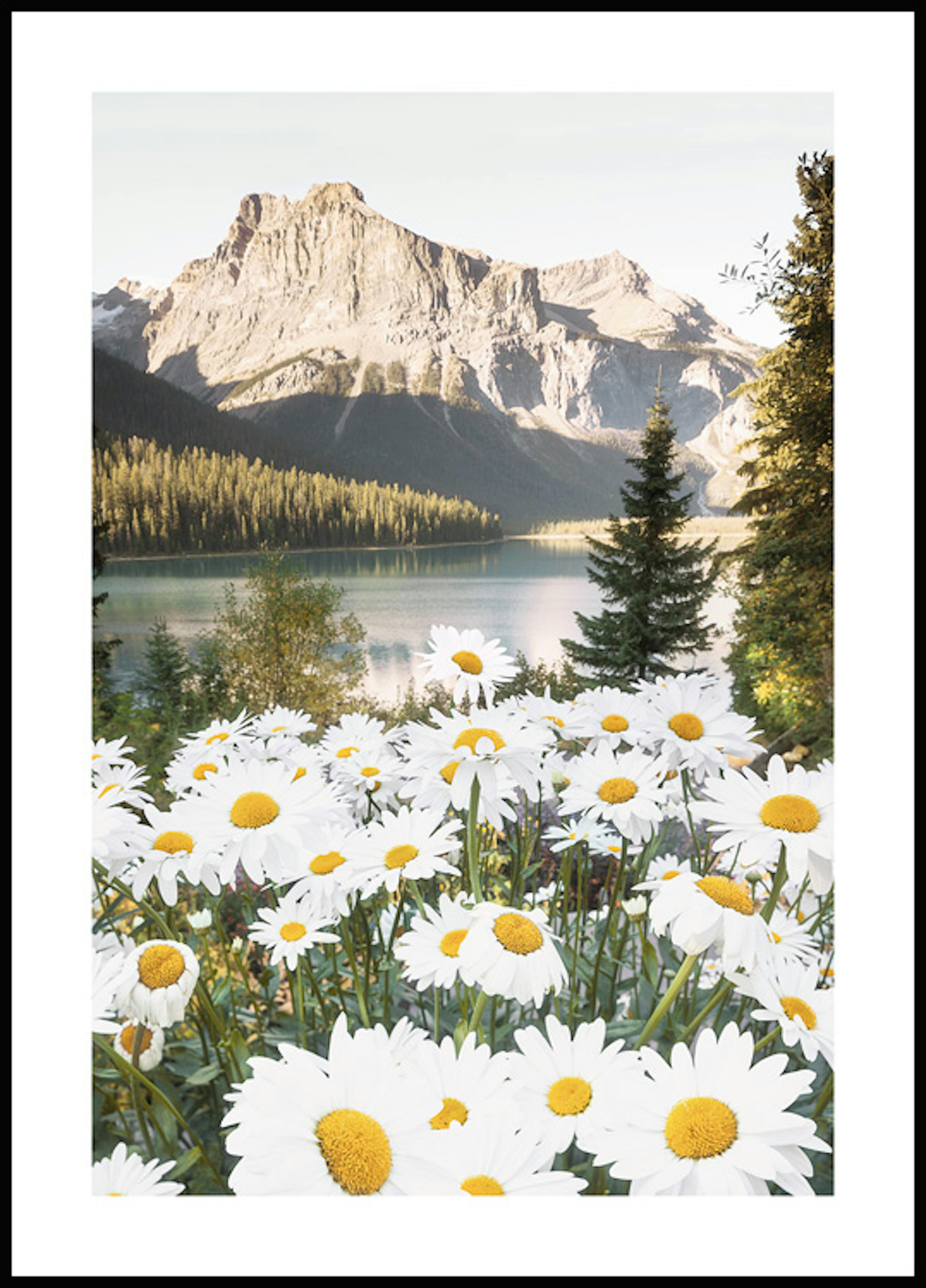 Plakat Górskie Kwiaty 0