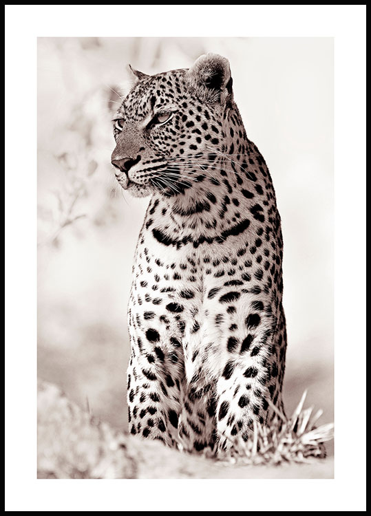 Banyan lukke gruppe Naturplakat- plakat med leopard