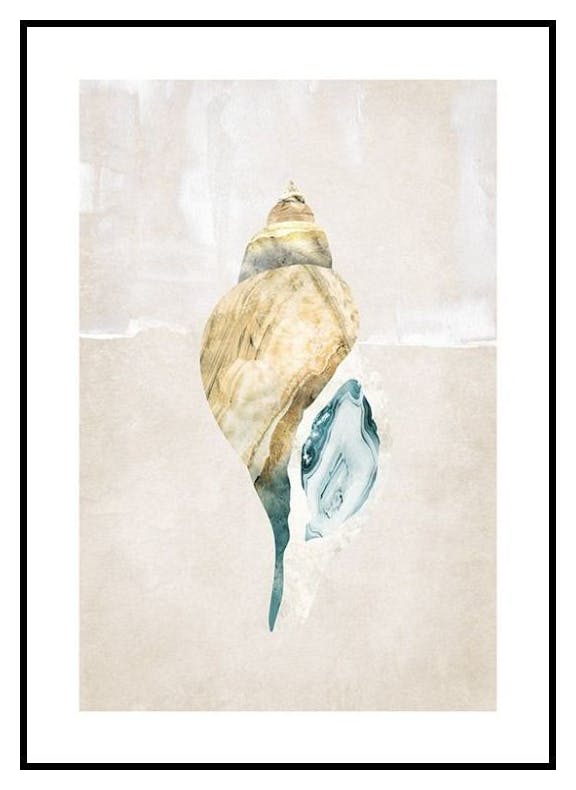 Graphic Seashell No2 Poster (50x70 cm) - Poster Store