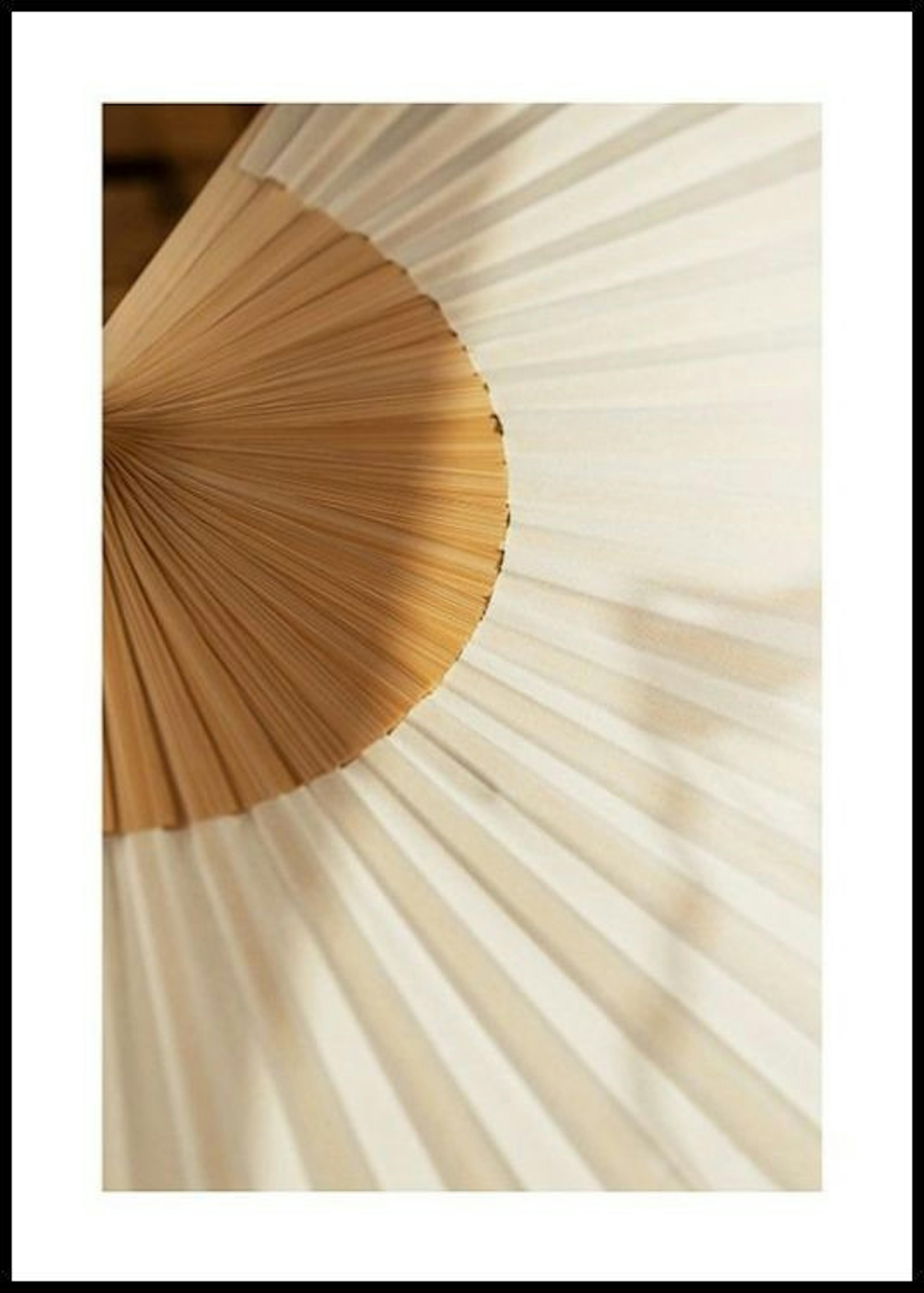 Folding Fan Poster thumbnail