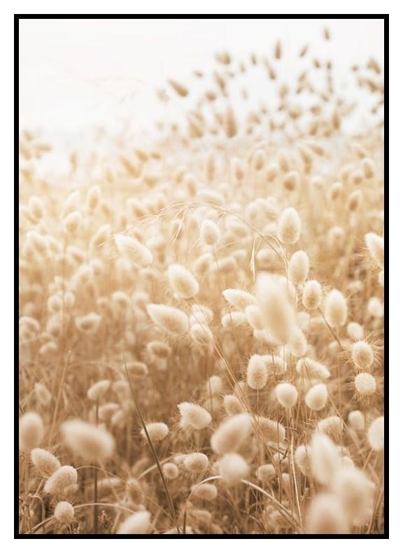 Prints Sunny Meadow Poster (30x40 cm) - Poster Store