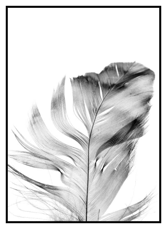Feather Poster (30x40 cm) - Poster Store