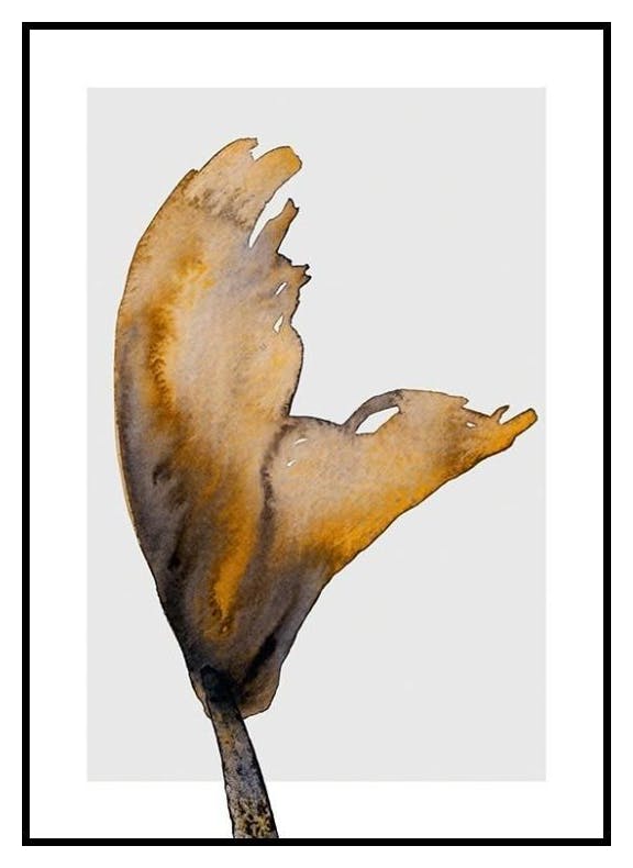 Abstrakcyjne kwiaty nr 2 Plakat (50x70 cm) - Poster Store