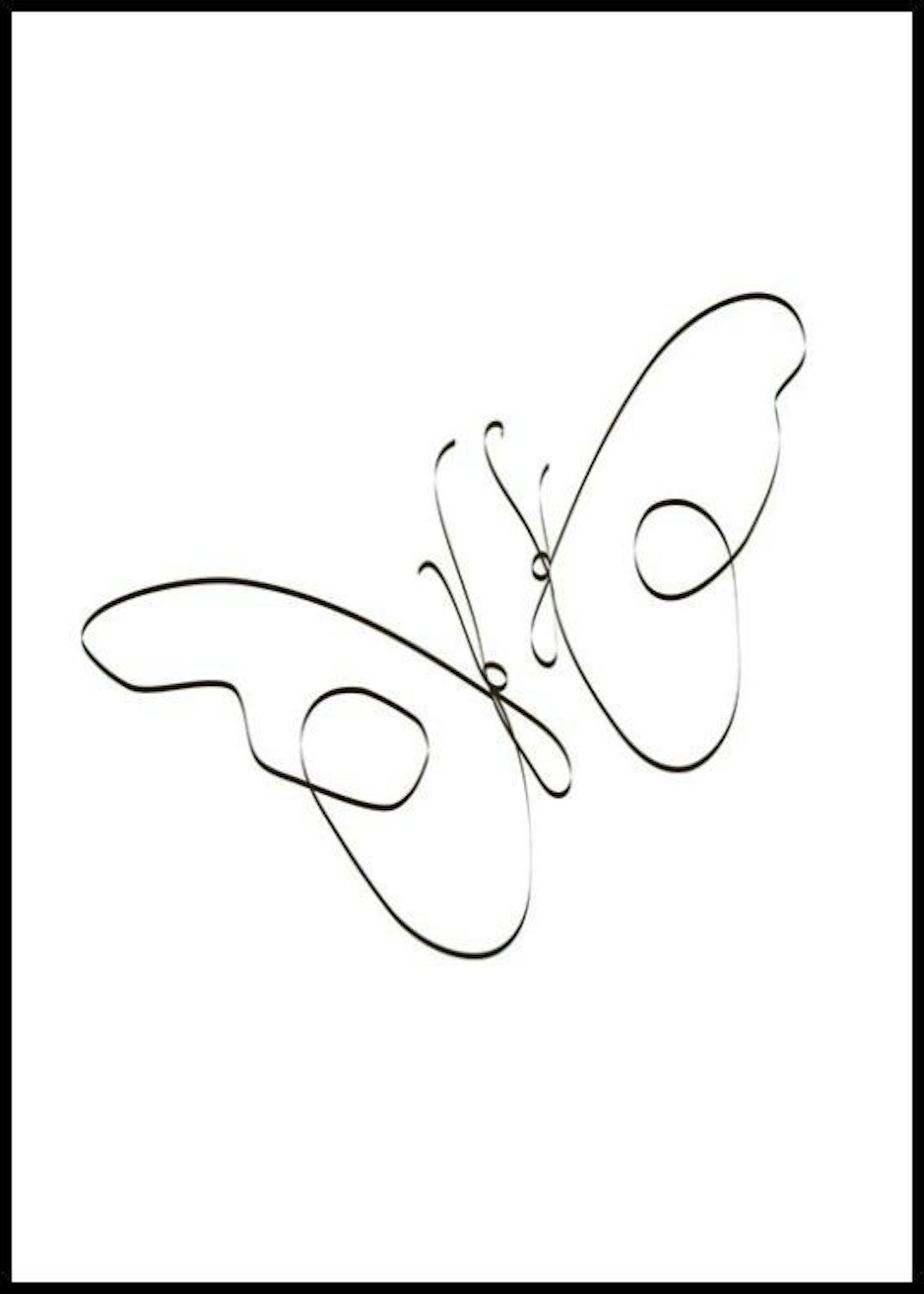 Butterfly Couple Poster thumbnail