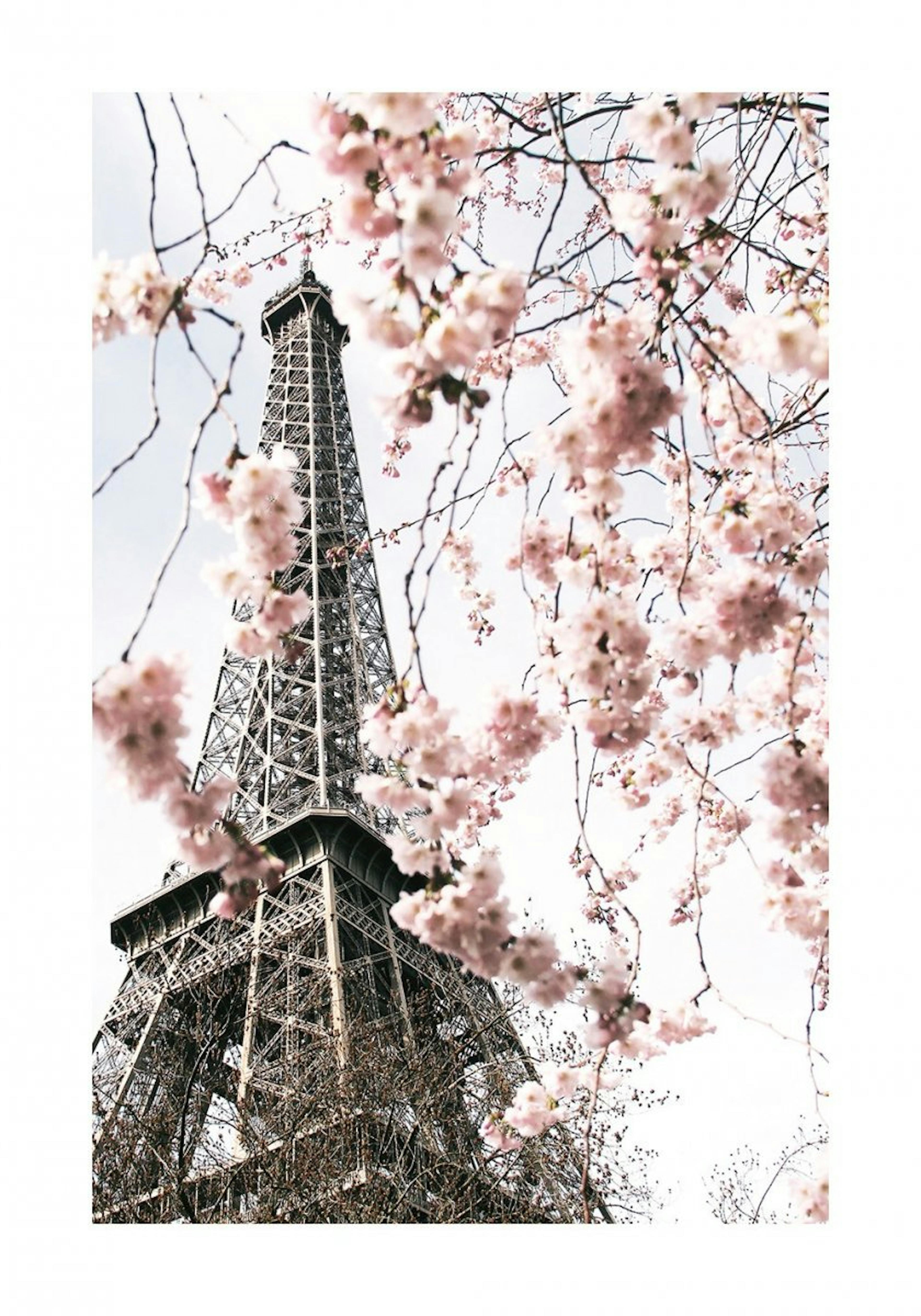 Eiffeltårnet i Blomst Poster 0