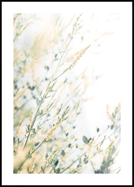 Poster zen - Brindilles fleuries -160