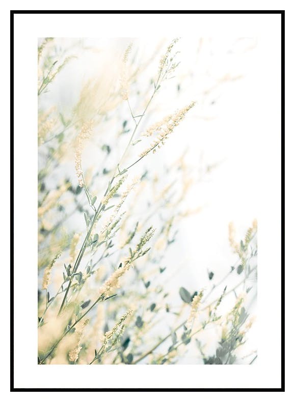 Prints Light Floral Poster (30x40 cm) - Poster Store