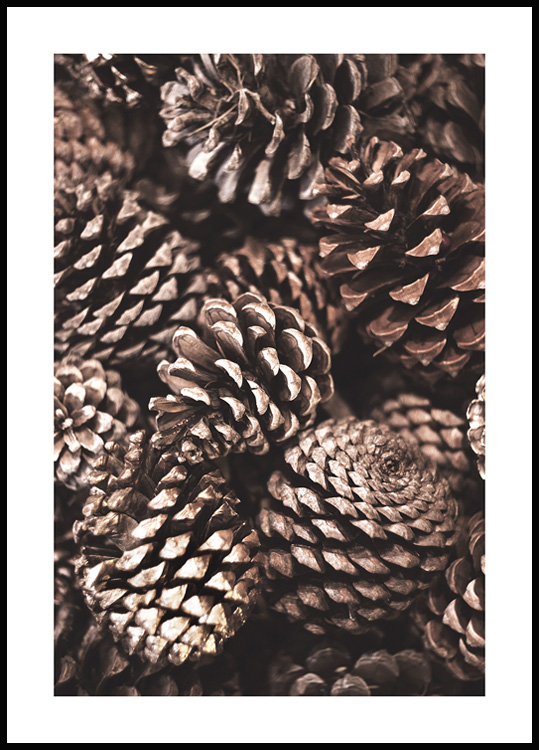Poster Frosted Pine Cones & Needles 