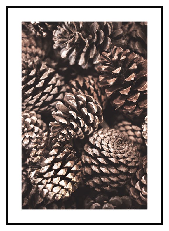 Pigne Poster (21x30 cm) - Poster Store