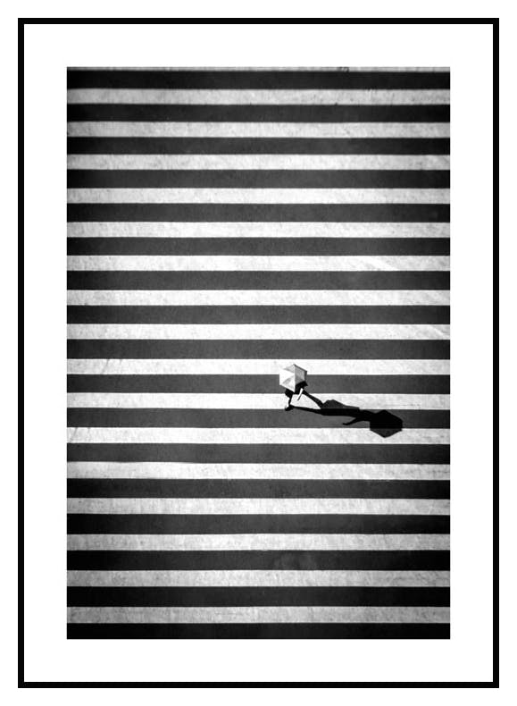 Plakat Crossing Stripes (30x40 cm) - Poster Store