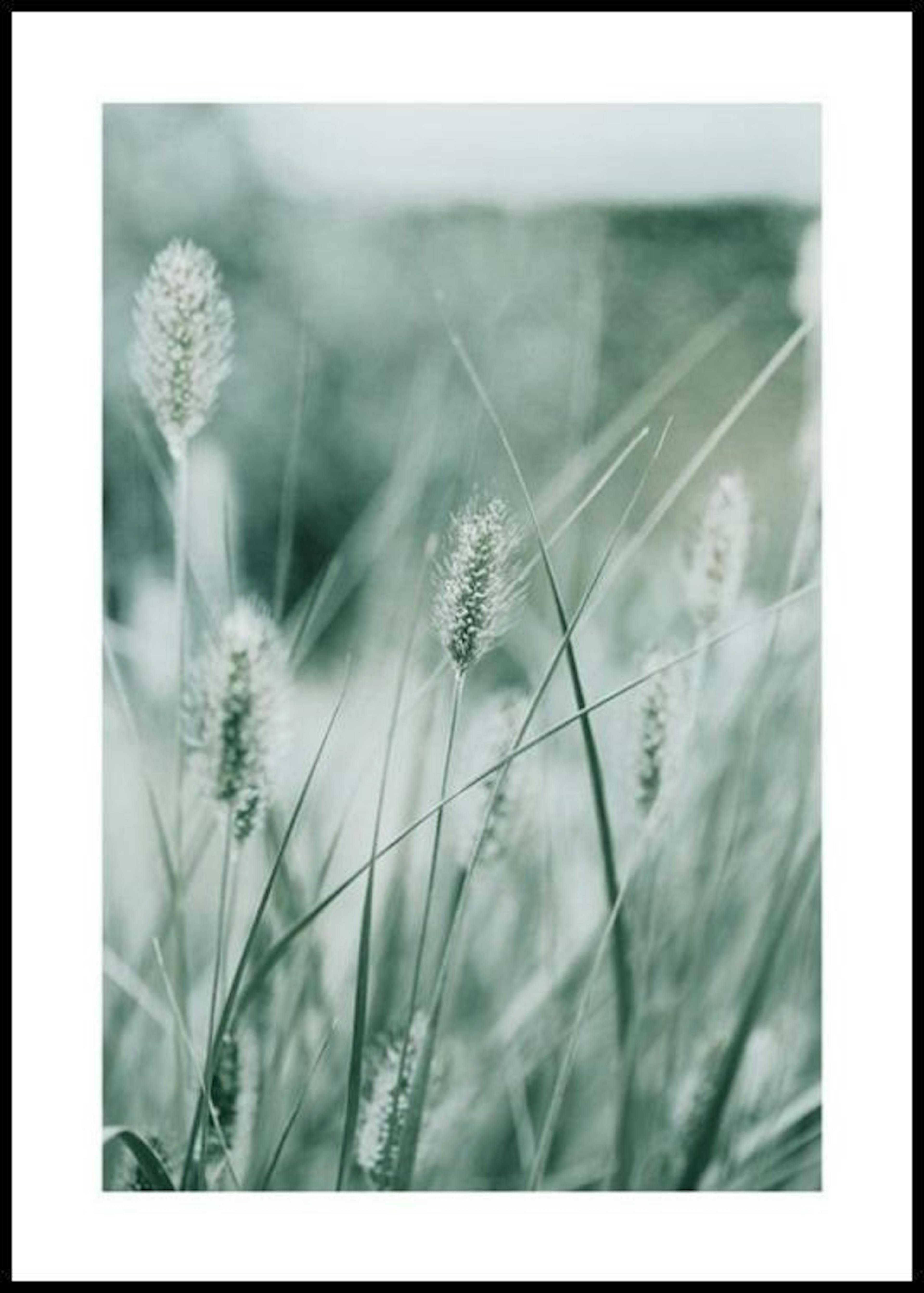 Poetry of Nature No1 Poster thumbnail