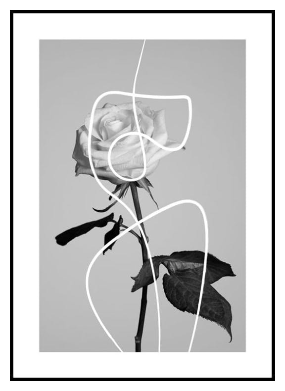 Flower Shapes Poster (30x40 cm) - Poster Store
