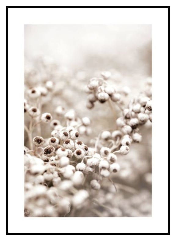 Beige Botanical Bokeh No1 Poster (50x70 cm) - Poster Store