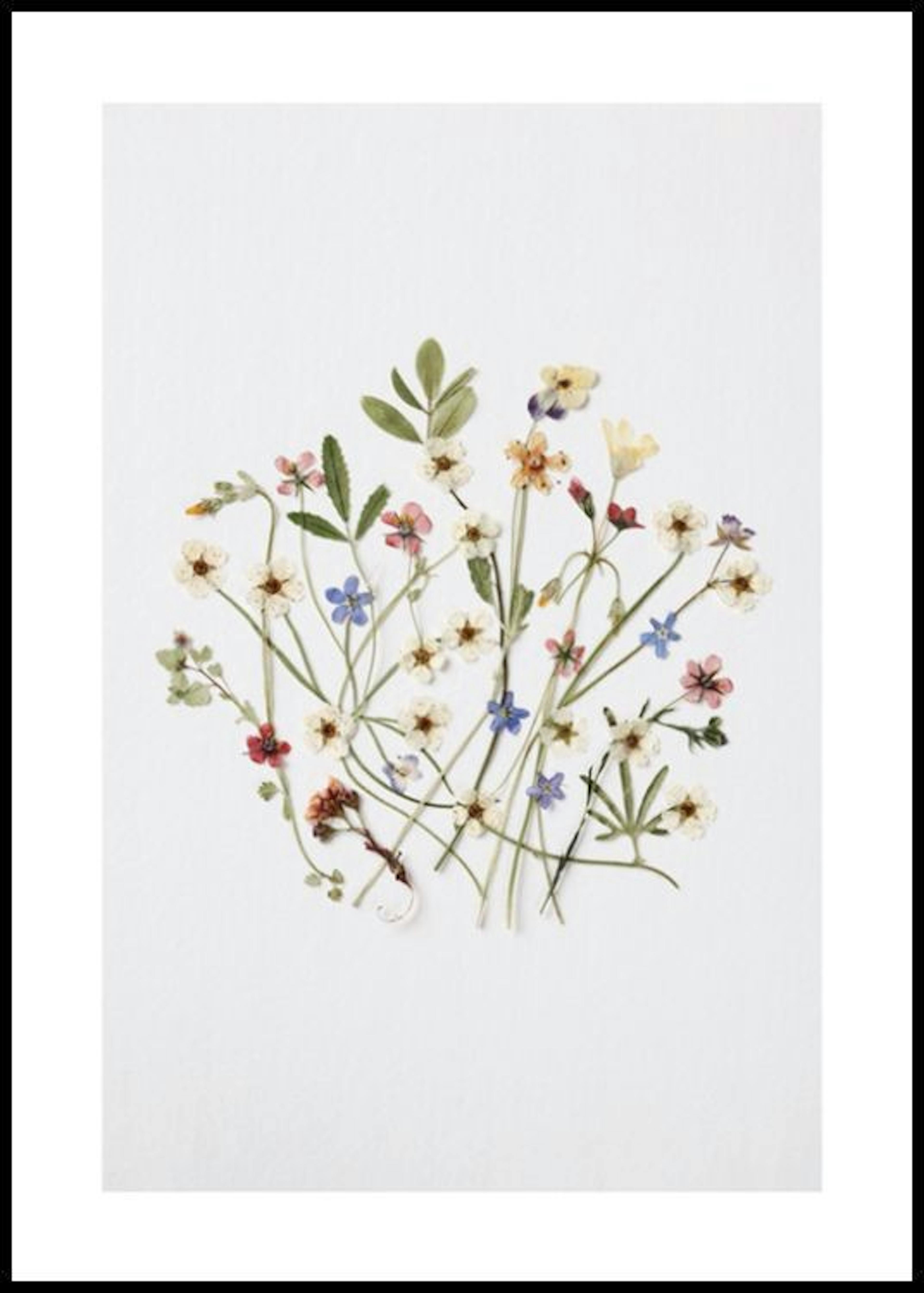 Bouquet Pressé Poster 0