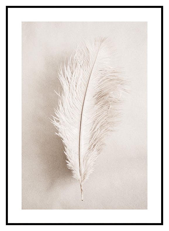 As a Feather Poster (30x40 cm) - Poster Store