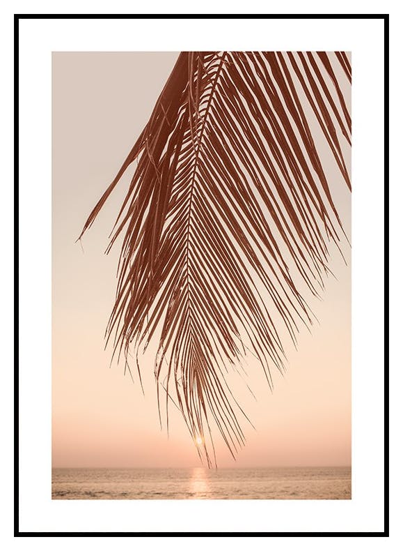 Liść palmy o zachodzie słońca Plakat (21x30 cm) - Poster Store