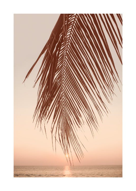 Poster palmblad bij zonsondergang 0