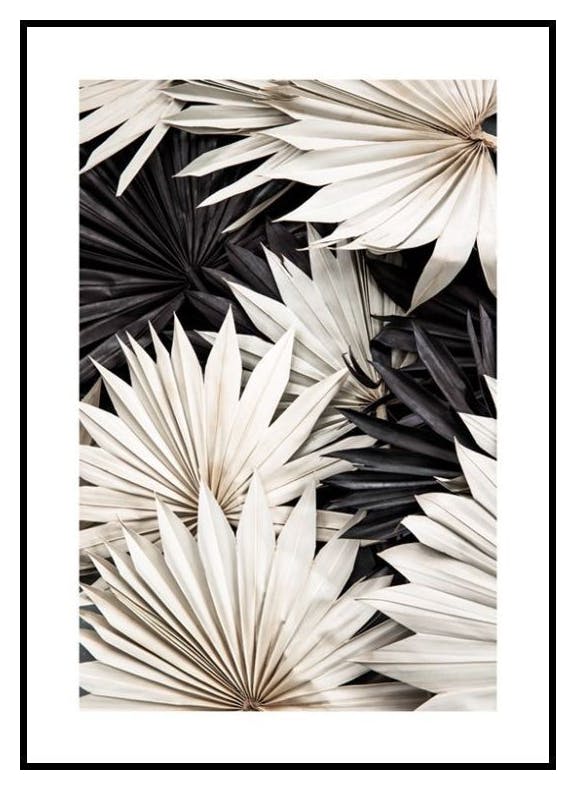 Kontrastowa Palma Plakat (50x70 cm) - Poster Store