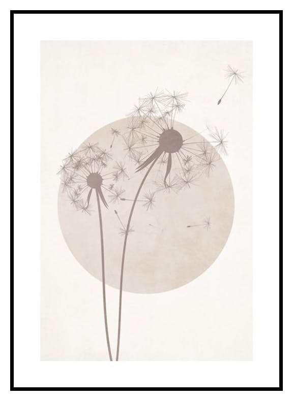 Graficzny dmuchawiec Plakat (50x70 cm) - Poster Store