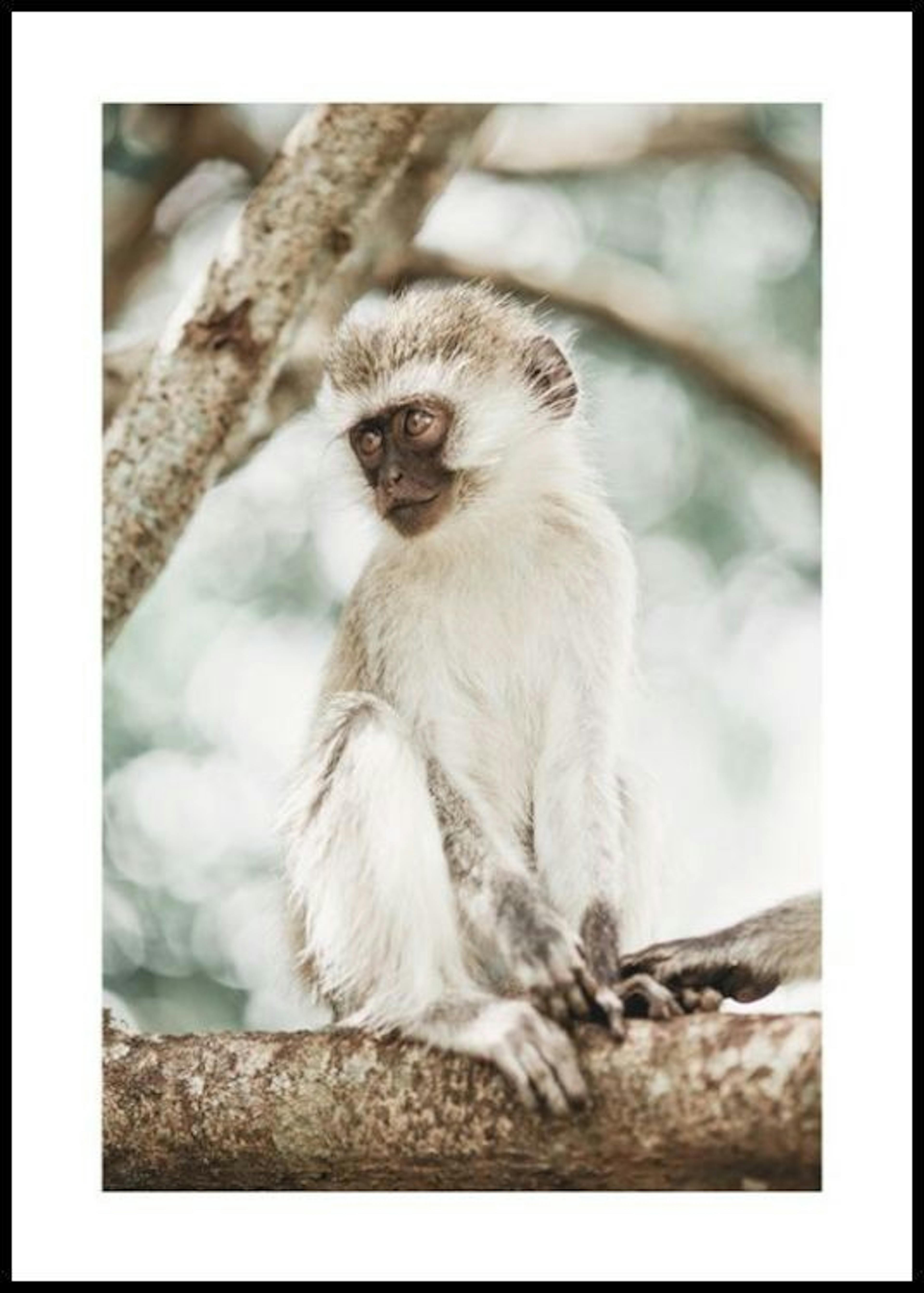 Mono en un Árbol Póster thumbnail