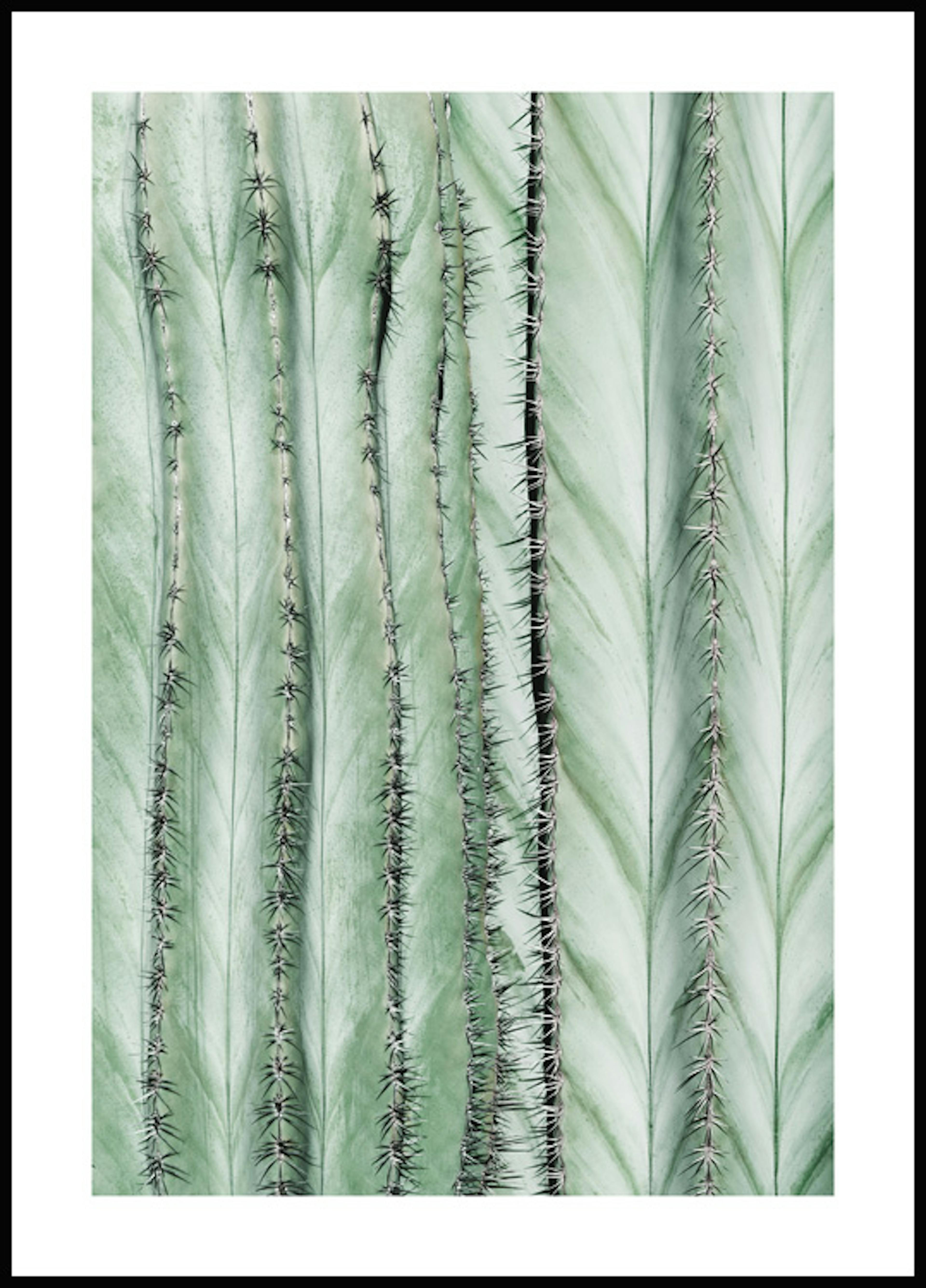 Poster textură de cactus 0