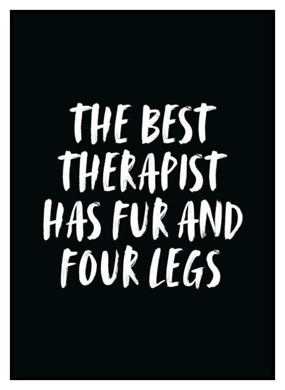 The Best Therapist Poster (30x40 cm) - Poster Store