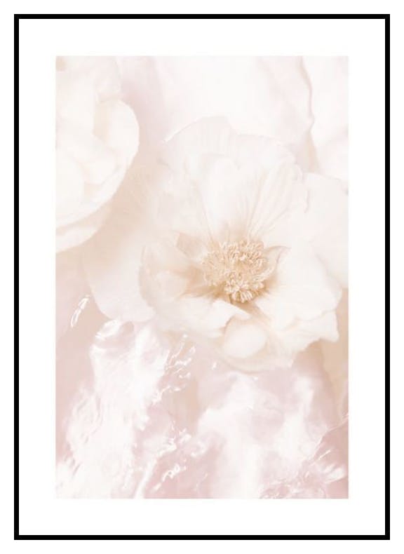 Falmede Roser Plakat (50x70 cm) - Poster Store