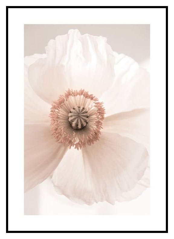 Blush Bloom Poster (50x70 cm) - Poster Store