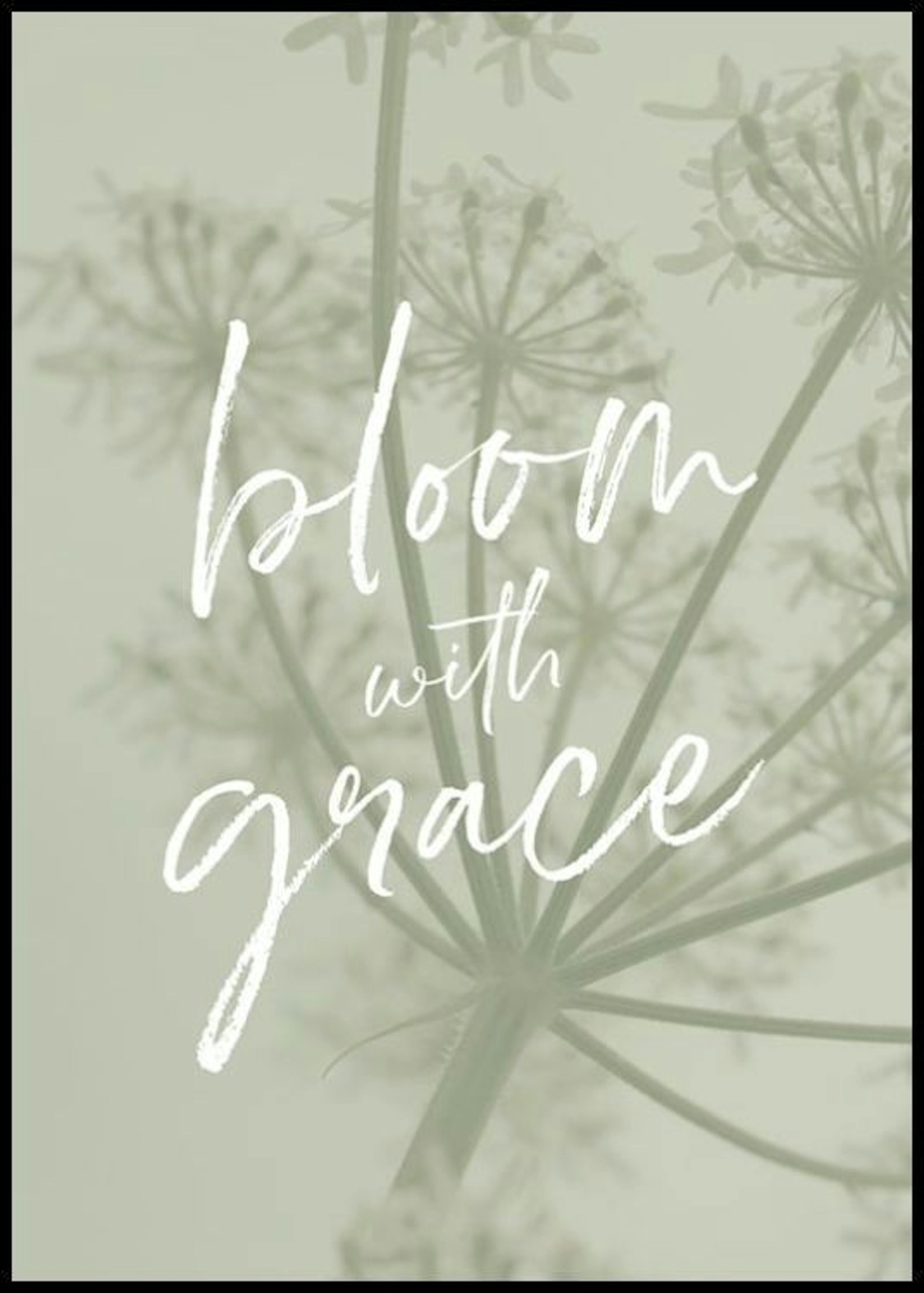 Bloom Gracefully Poster thumbnail