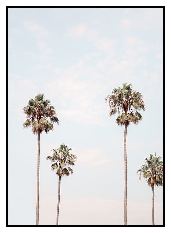 Poster van palmen in Los Angeles (21x30 cm) - Poster Store