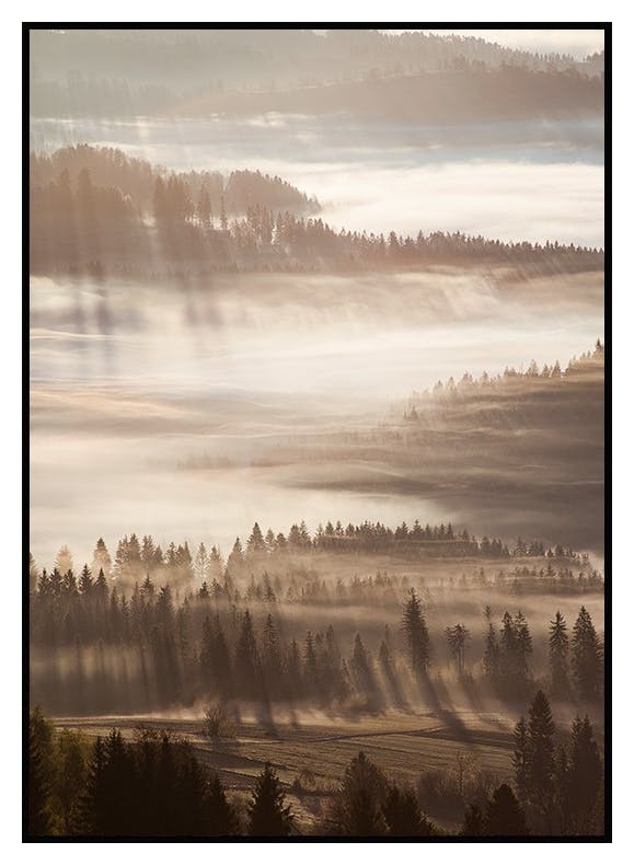 Rayons de Soleil à Travers la Brume Poster (50x70 cm) - Poster Store