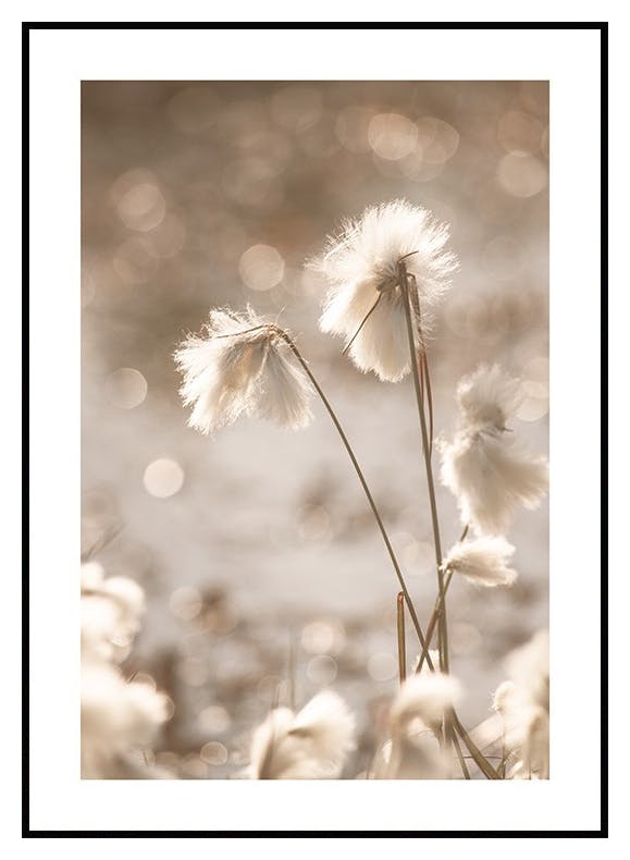 Wełnianka plakat (21x30 cm) - Poster Store