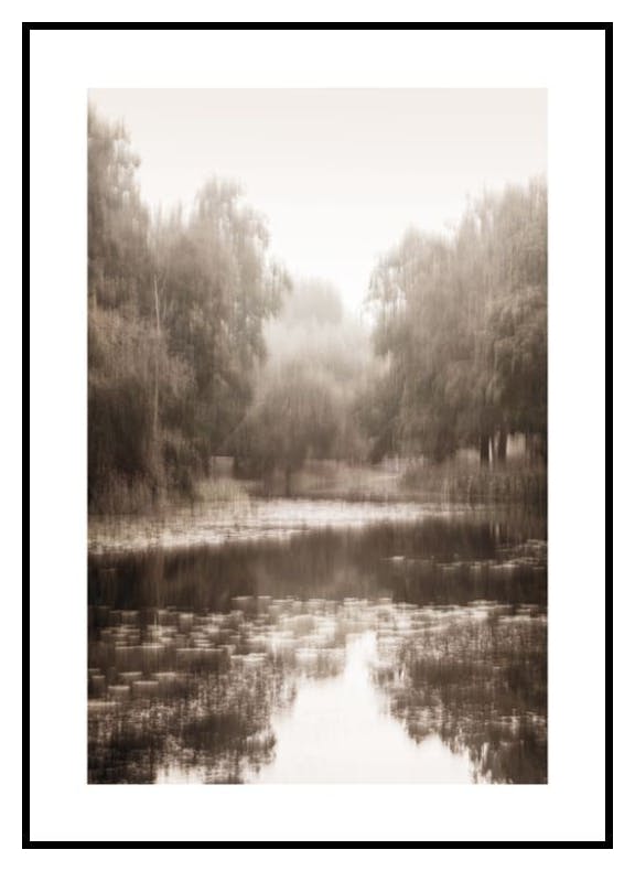 Prints Misty Forest Reflection Poster (30x40 cm) - Poster Store