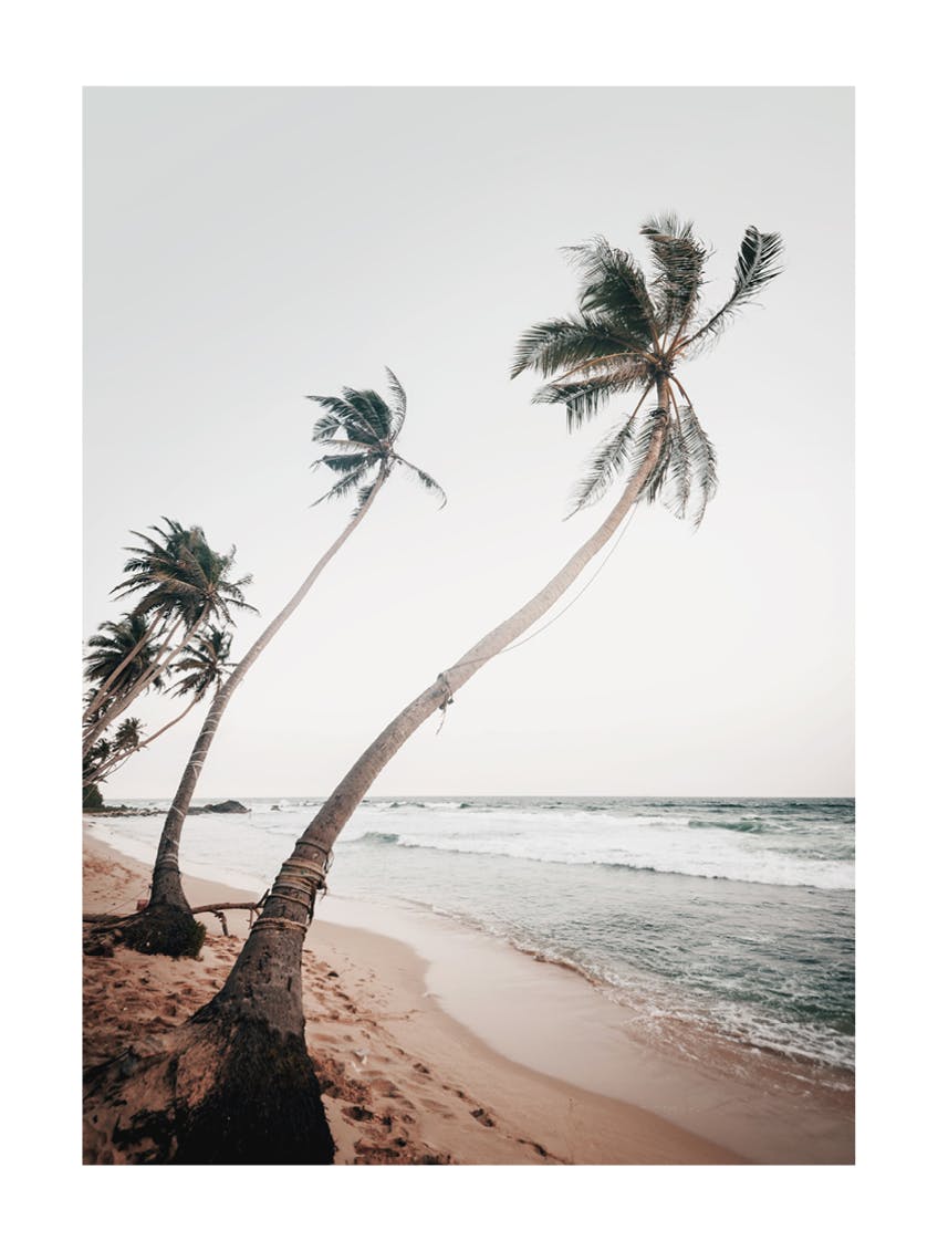 스리랑카 해변 포스터 0