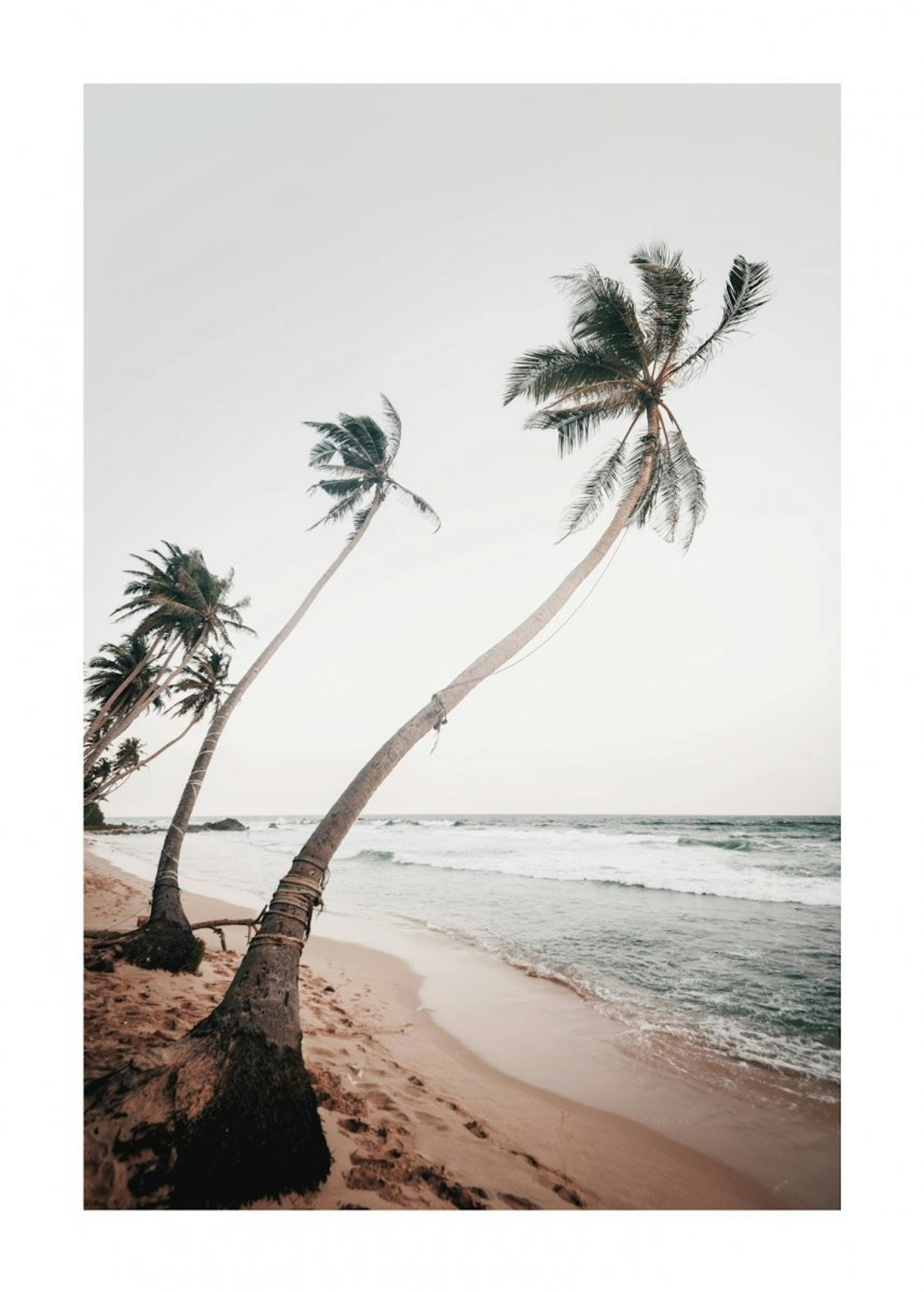 Sri Lanka Palms Poster 0