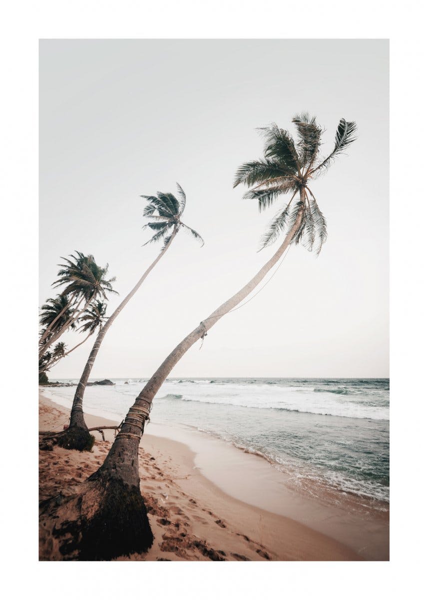 스리랑카 해변 포스터 0