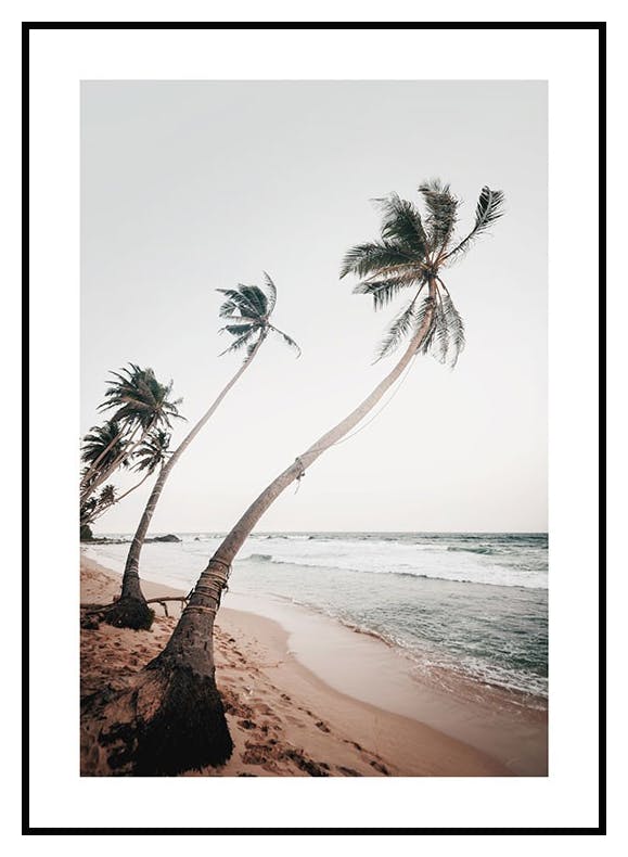 Plakat Sri Lanka Palms (30x40 cm) - Poster Store