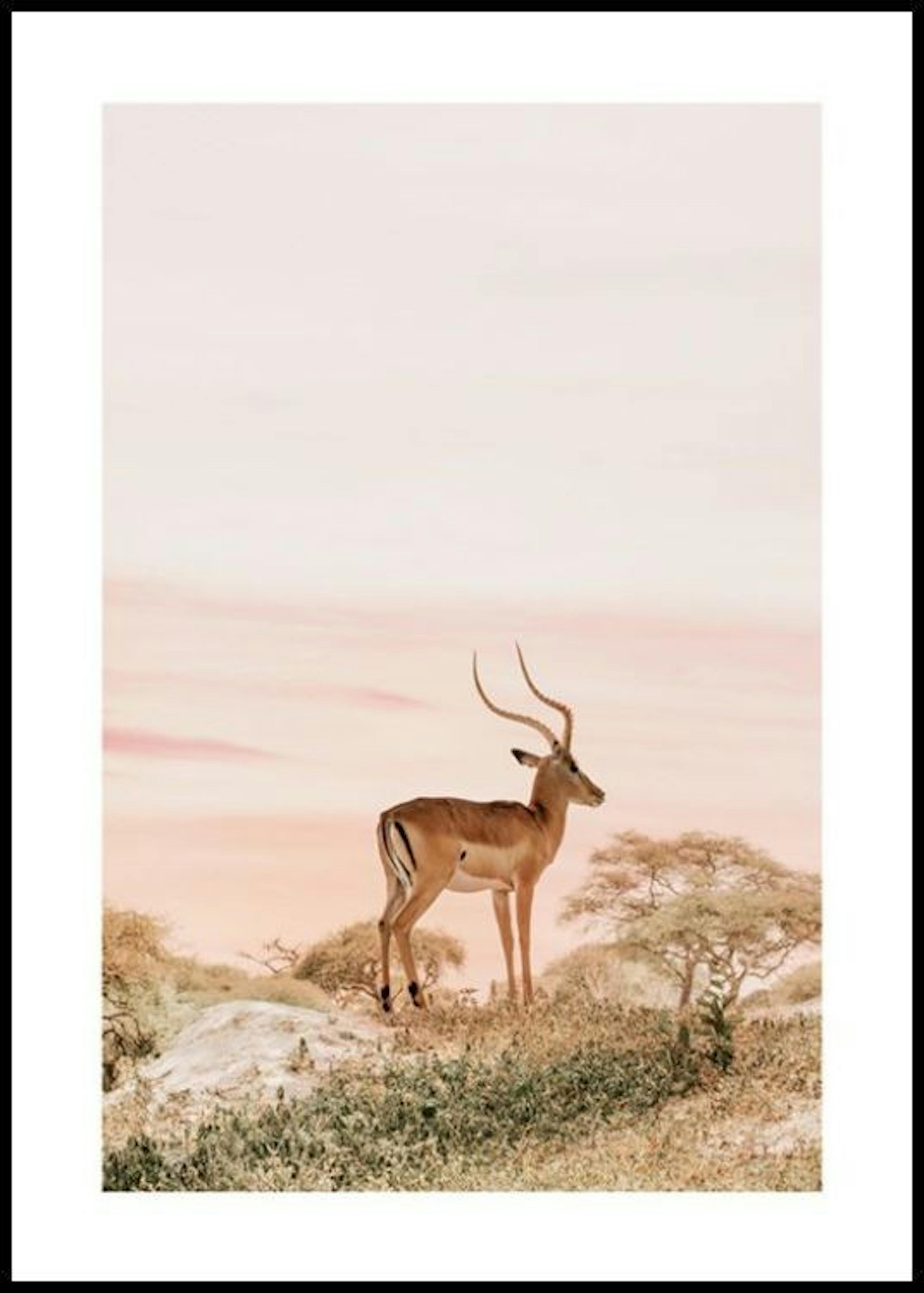 Tagträumender Impala Poster 0