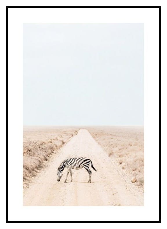 Gestreepte Reis Poster (50x70 cm) - Poster Store